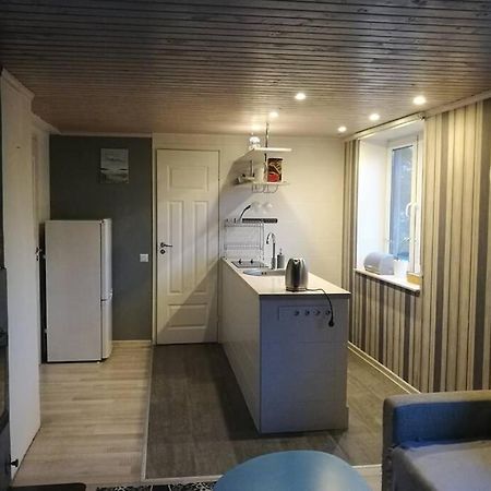 Quiet Place With Garden Studio Apartment Ταλίν Εξωτερικό φωτογραφία