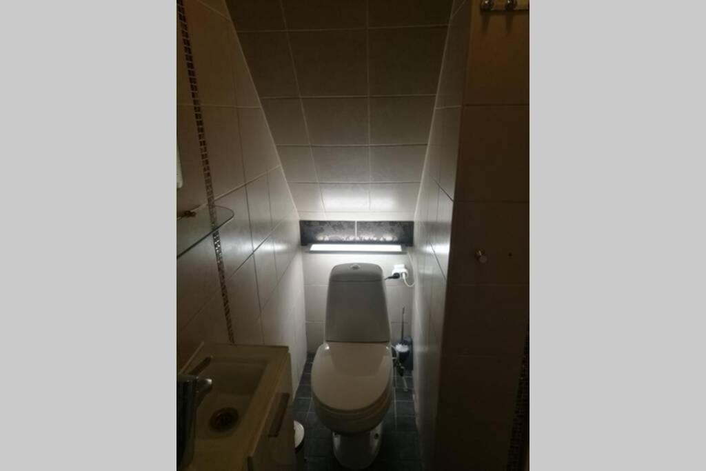 Quiet Place With Garden Studio Apartment Ταλίν Εξωτερικό φωτογραφία