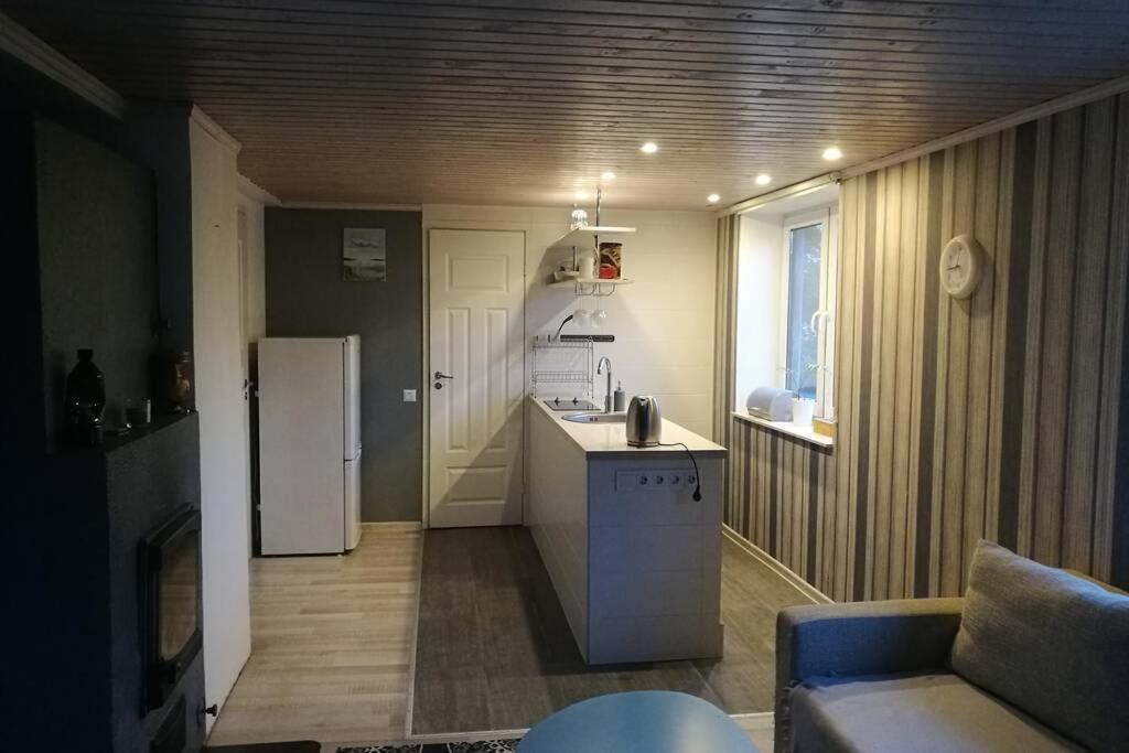 Quiet Place With Garden Studio Apartment Ταλίν Εξωτερικό φωτογραφία